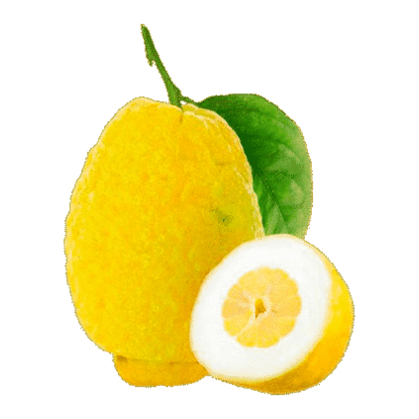 Cedrata