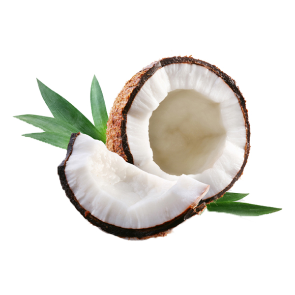 Cocco