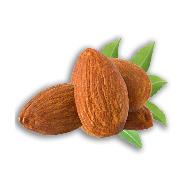 Mandorla